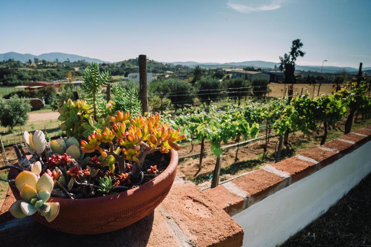 Quinta Sofia Valle De Guadalupe - Solo Adultos Zewnętrze zdjęcie