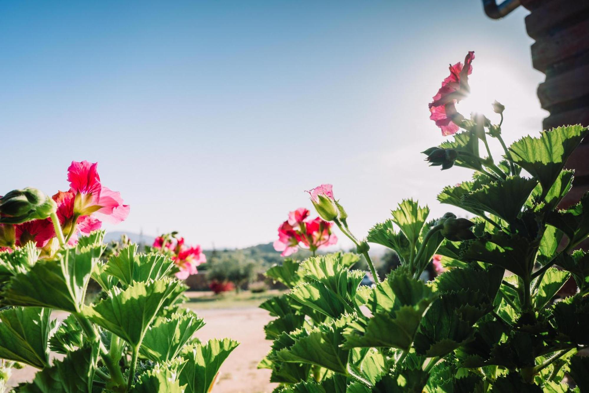 Quinta Sofia Valle De Guadalupe - Solo Adultos Zewnętrze zdjęcie